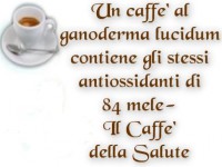 /album/cos%27%c3%a8-il-ganoderma-/a303226-488213371198177-316631192-n-jpg1/