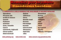 /album/cos%27%c3%a8-il-ganoderma-/a603532-3953530708983-1864478334-n-jpg/