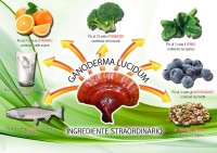 /album/cos%27%c3%a8-il-ganoderma-/a856740-127621470749658-745069909-o-jpg/